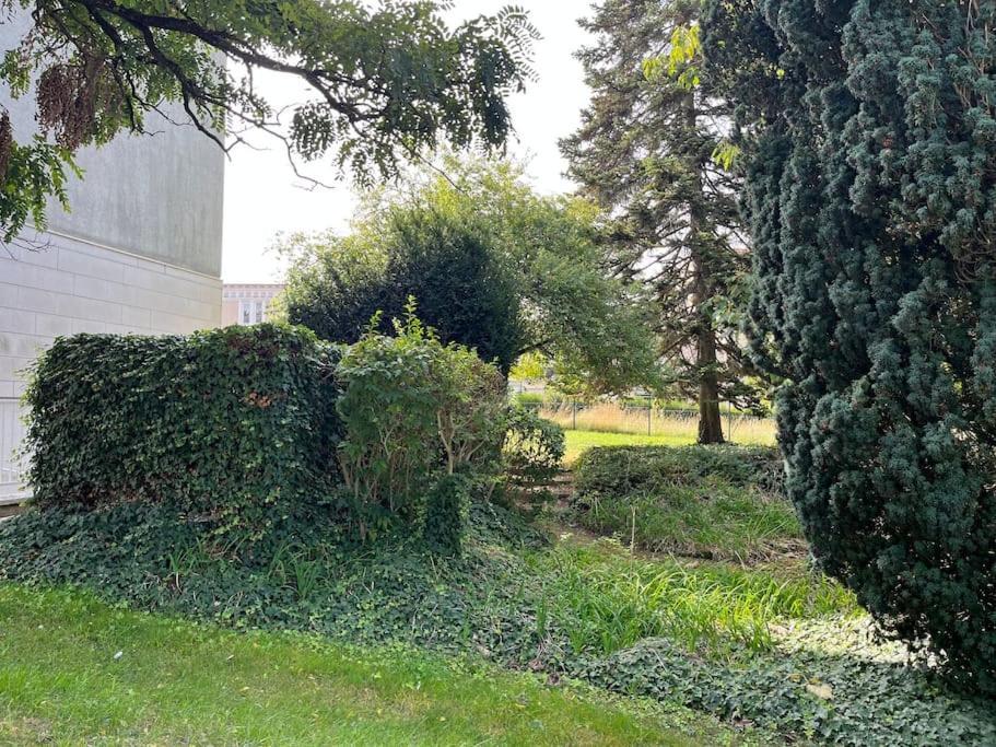 Gites Maisons De Champagnes Reims Dış mekan fotoğraf